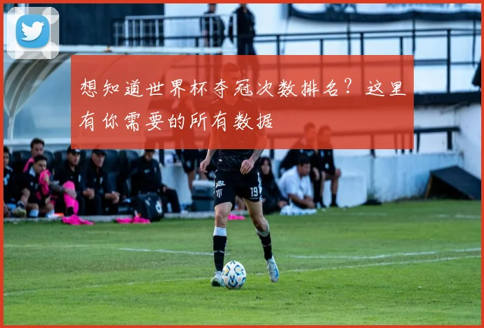 想知道世界杯夺冠次数排名？这里有你需要的所有数据